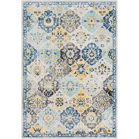 Surya Harput - 9'3 X 12'6" Area Rug" HAP1072-93126
